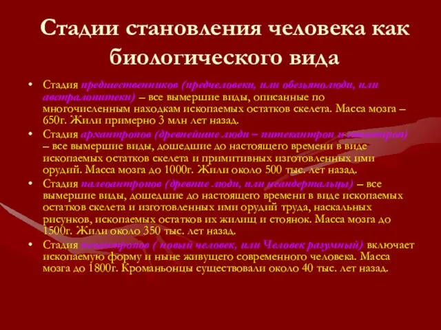 Стадии становления человека как биологического вида Стадия предшественников (предчеловеки, или обезьянолюди, или