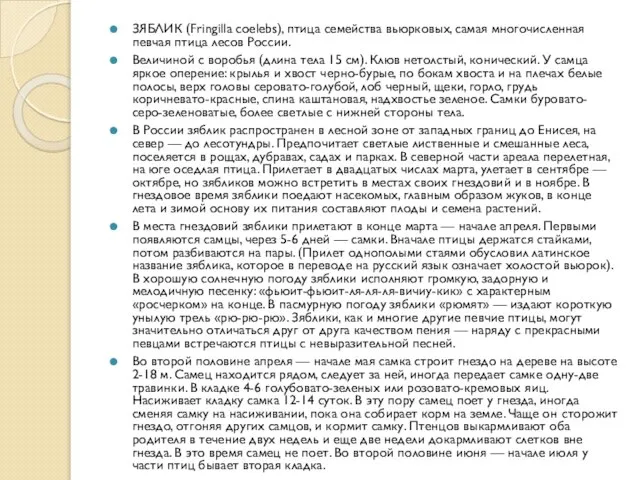 ЗЯБЛИК (Fringilla coelebs), птица семейства вьюрковых, самая многочисленная певчая птица лесов России.