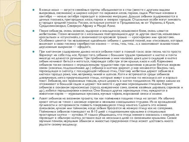 В конце июля — августе семейные группы объединяются в стаи (вместе с