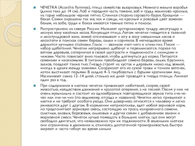 ЧЕЧЕТКА (Acanthis flammea), птица семейства вьюрковых. Немного мельче воробья (длина тела до