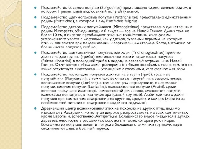 Подсемейство совиные попугаи (Strigopinae) представлено единственным родом, в котором 1 реликтовый вид: