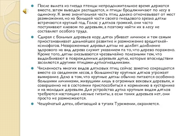 После вылета из гнезда птенцы непродолжительное время держатся вместе, затем выводок распадается,