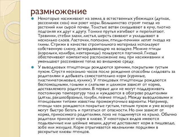 размножение Некоторые насиживают на земле, в естественных убежищах (дуплах, расселинах скал) или