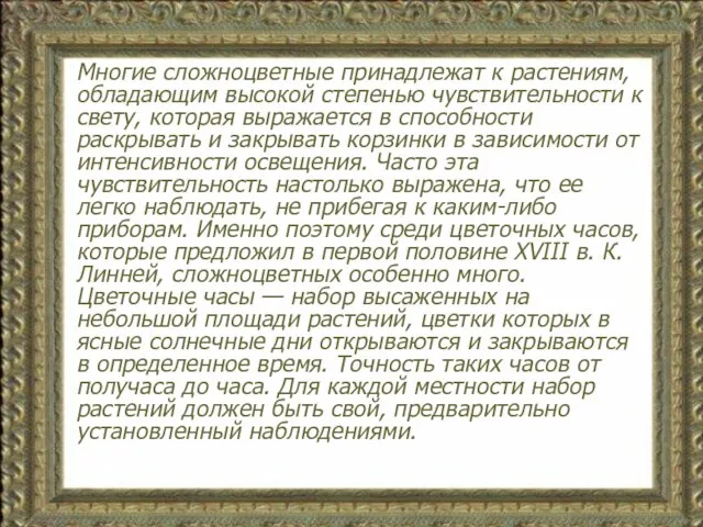 Многие сложноцветные принадлежат к растениям, обладающим высокой степенью чувствительности к свету, которая