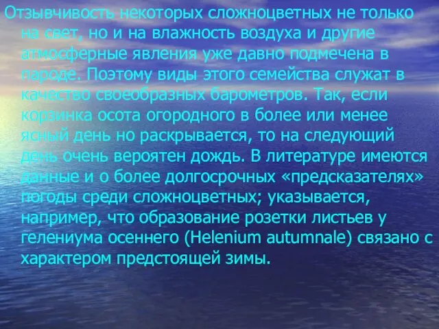 Отзывчивость некоторых сложноцветных не только на свет, но и на влажность воздуха