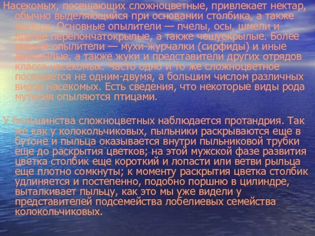 Насекомых, посещающих сложноцветные, привлекает нектар, обычно выделяющийся при основании столбика, а также