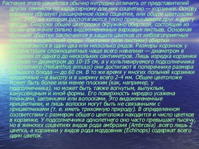 Растения этого семейства обычно нетрудно отличить от представителей других семейств по характерному