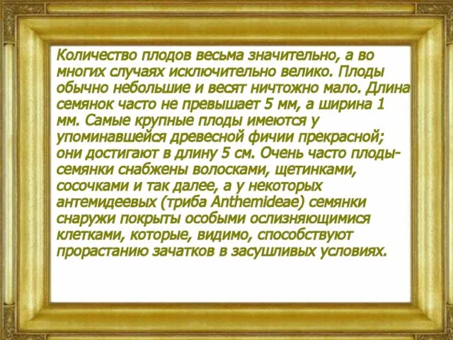 Количество плодов весьма значительно, а во многих случаях исключительно велико. Плоды обычно