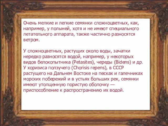 Очень мелкие и легкие семянки сложноцветных, как, например, у полыней, хотя и