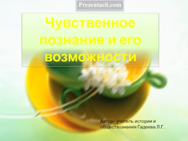 Презентация на тему Чувственное познание и его возможности