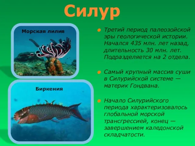 Третий период палеозойской эры геологической истории. Начался 435 млн. лет назад, длительность