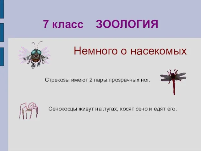 Сенокосцы живут на лугах, косят сено и едят его. 7 класс ЗООЛОГИЯ