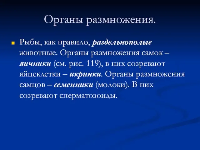 Органы размножения. Рыбы, как правило, раздельнополые животные. Органы размножения самок – яичники