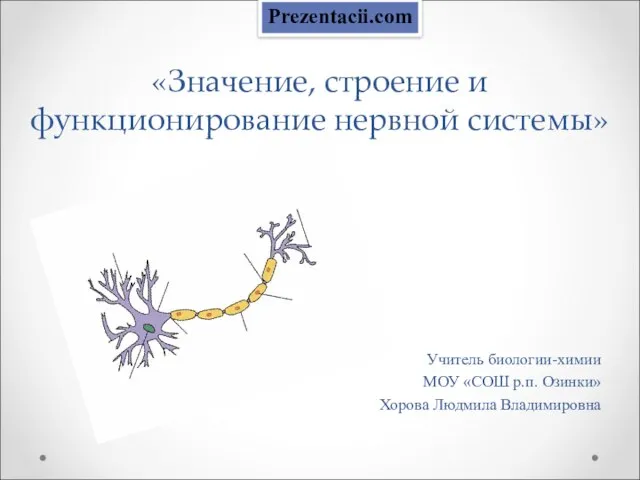 Презентация на тему Значение, строение и функционирование нервной системы