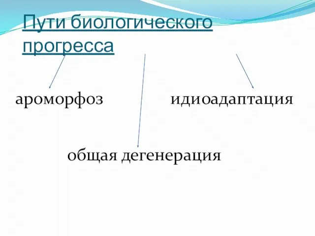 Пути биологического прогресса ароморфоз идиоадаптация общая дегенерация