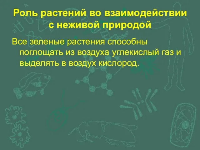 Роль растений во взаимодействии с неживой природой Все зеленые растения способны поглощать