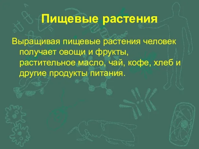 Пищевые растения Выращивая пищевые растения человек получает овощи и фрукты, растительное масло,