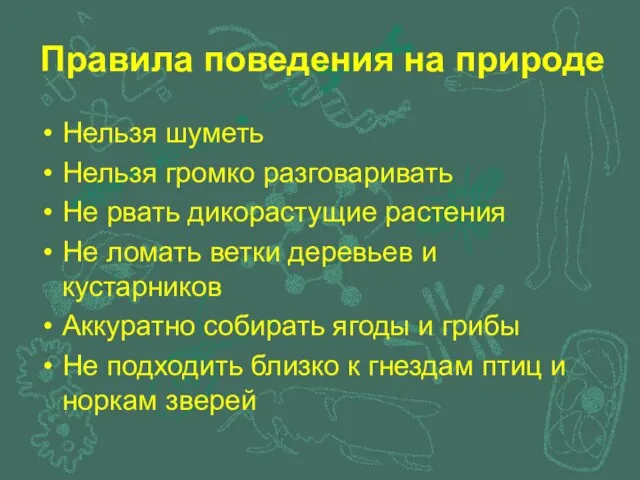 Правила поведения на природе Нельзя шуметь Нельзя громко разговаривать Не рвать дикорастущие