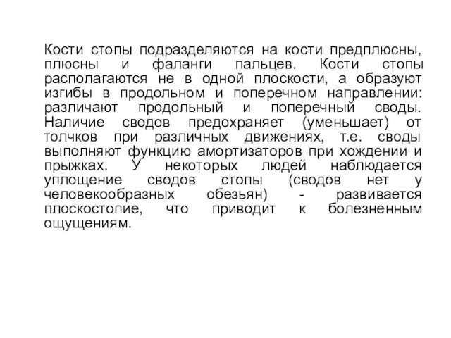 Кости стопы подразделяются на кости предплюсны, плюсны и фаланги пальцев. Кости стопы