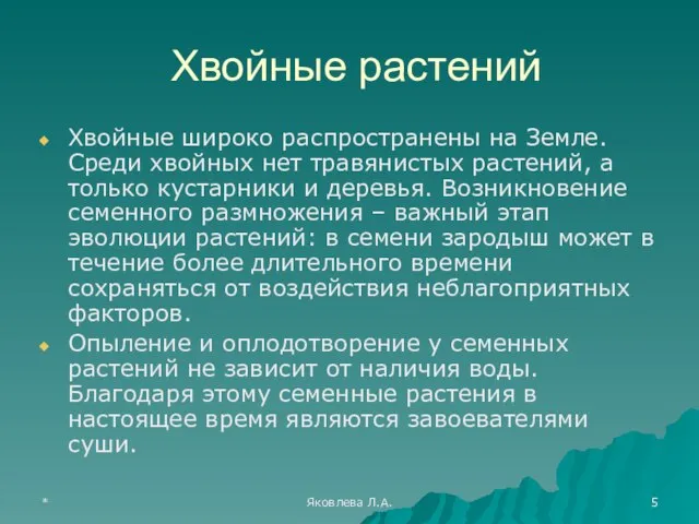 * Яковлева Л.А. Хвойные растений Хвойные широко распространены на Земле. Среди хвойных