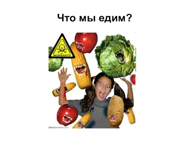 Что мы едим?