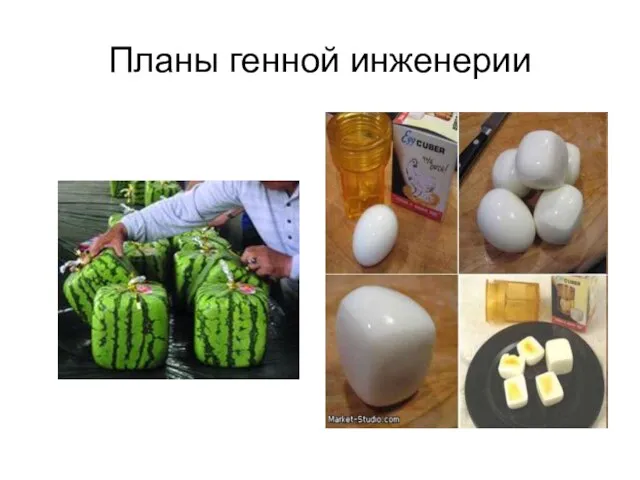 Планы генной инженерии