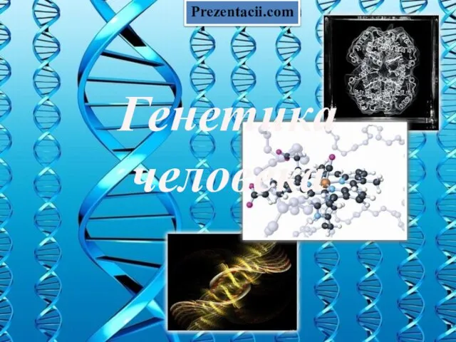 Презентация на тему Генетика человека