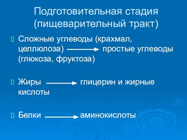 Подготовительная стадия (пищеварительный тракт) Сложные углеводы (крахмал, целлюлоза) простые углеводы (глюкоза, фруктоза)