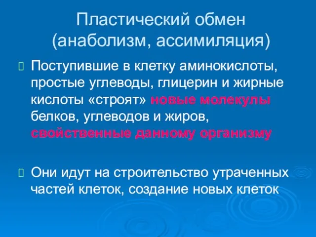 Пластический обмен (анаболизм, ассимиляция) Поступившие в клетку аминокислоты, простые углеводы, глицерин и