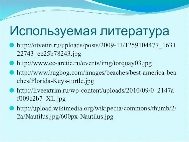 Используемая литература http://otvetin.ru/uploads/posts/2009-11/1259104477_163122743_ee25b78243.jpg http://www.ec-arctic.ru/events/img/torquay03.jpg http://www.bugbog.com/images/beaches/best-america-beaches/Florida-Keys-turtle.jpg http://liveextrim.ru/wp-content/uploads/2010/09/0_2147a_f009c2b7_XL.jpg http://upload.wikimedia.org/wikipedia/commons/thumb/2/2a/Nautilus.jpg/600px-Nautilus.jpg