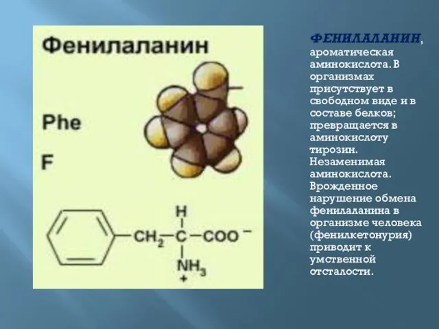 ФЕНИЛАЛАНИН, ароматическая аминокислота. В организмах присутствует в свободном виде и в составе