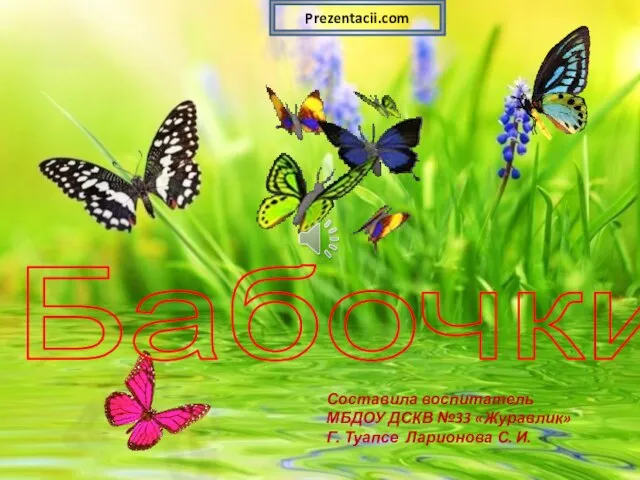 Презентация на тему Бабочки