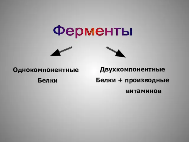 Ферменты Двухкомпонентные Белки + производные витаминов Однокомпонентные Белки