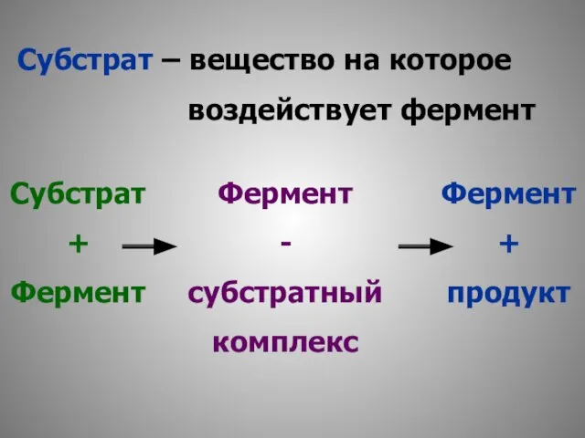 Субстрат – вещество на которое воздействует фермент Субстрат + Фермент Фермент -