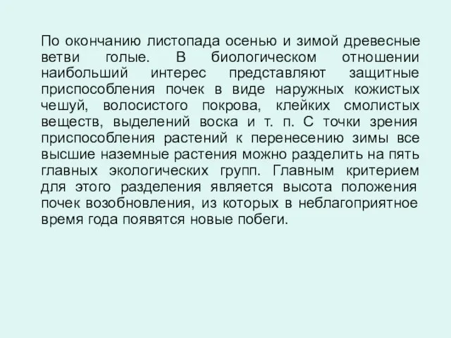 По окончанию листопада осенью и зимой древесные ветви голые. В биологическом отношении