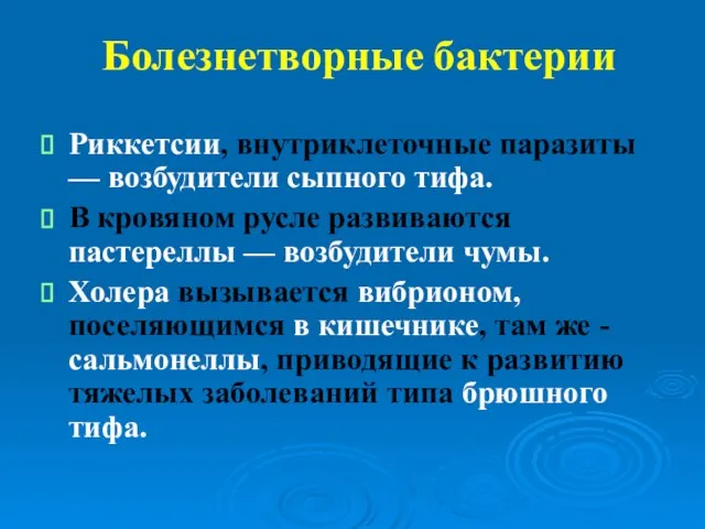 Болезнетворные бактерии Риккетсии, внутриклеточные паразиты — возбудители сыпного тифа. В кровяном русле