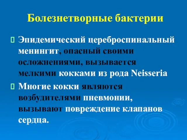 Болезнетворные бактерии Эпидемический цереброспинальный менингит, опасный своими осложнениями, вызывается мелкими кокками из