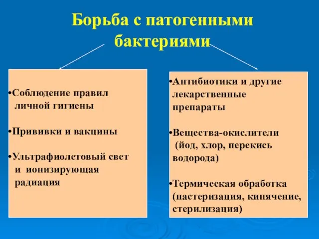 Борьба с патогенными бактериями Соблюдение правил личной гигиены Прививки и вакцины Ультрафиолетовый