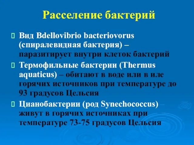 Расселение бактерий Вид Bdellovibrio bacteriovorus (спиралевидная бактерия) – паразитирует внутри клеток бактерий