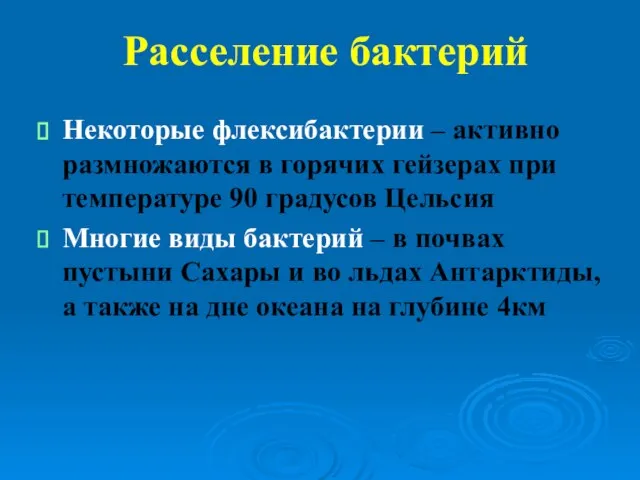 Расселение бактерий Некоторые флексибактерии – активно размножаются в горячих гейзерах при температуре