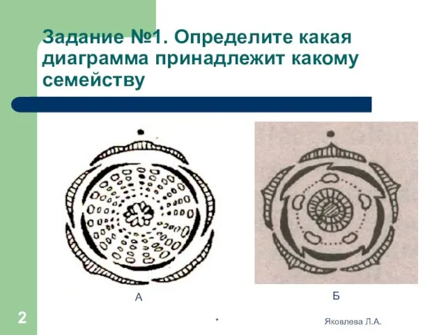 * Яковлева Л.А. Задание №1. Определите какая диаграмма принадлежит какому семейству А Б