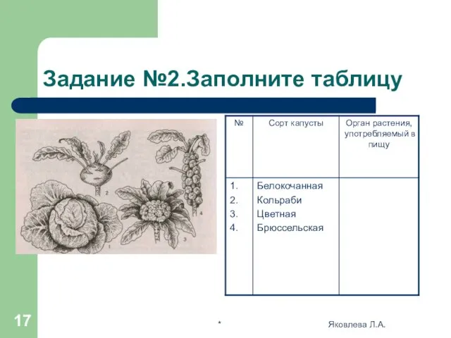 * Яковлева Л.А. Задание №2.Заполните таблицу