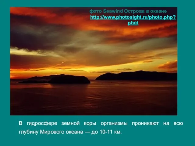 В гидросфере земной коры организмы проникают на всю глубину Мирового океана —