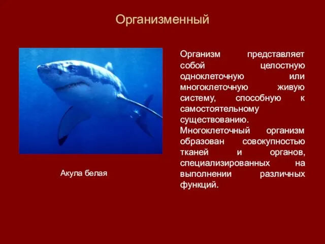 Организменный Организм представляет собой целостную одноклеточную или многоклеточную живую систему, способную к