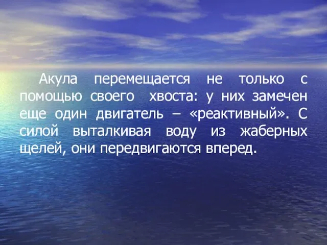 Акула перемещается не только с помощью своего хвоста: у них замечен еще