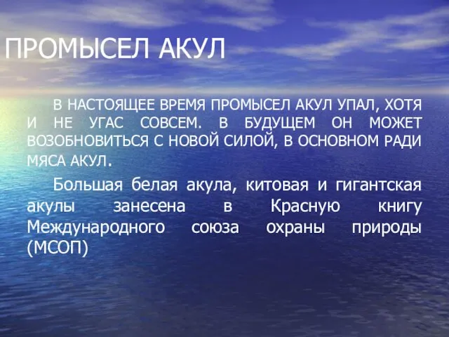 ПРОМЫСЕЛ АКУЛ В НАСТОЯЩЕЕ ВРЕМЯ ПРОМЫСЕЛ АКУЛ УПАЛ, ХОТЯ И НЕ УГАС