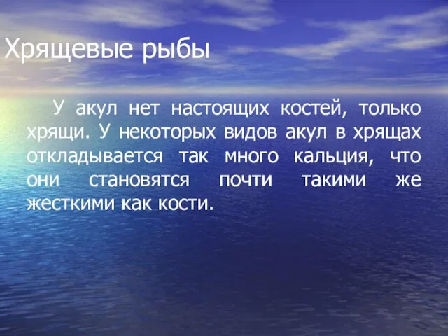 Хрящевые рыбы У акул нет настоящих костей, только хрящи. У некоторых видов