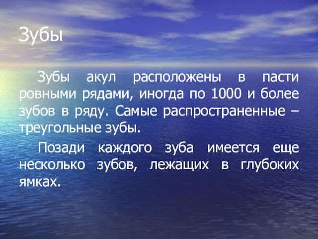 Зубы Зубы акул расположены в пасти ровными рядами, иногда по 1000 и