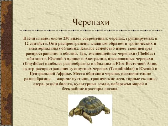 Черепахи Насчитывают около 230 видов современных черепах, группируемых в 12 семейств. Они