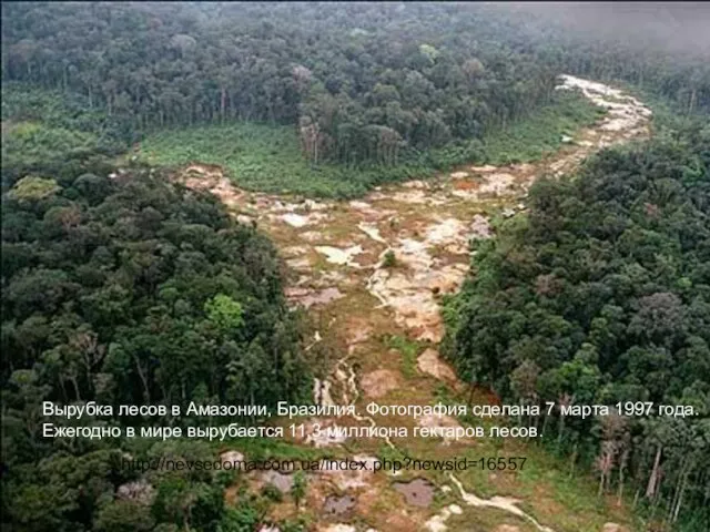 Вырубка лесов в Амазонии, Бразилия. Фотография сделана 7 марта 1997 года. Ежегодно